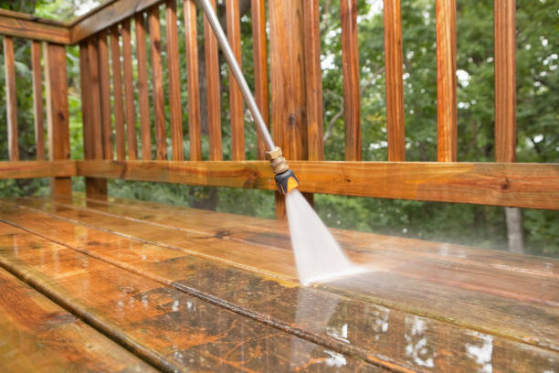 Trusted Zwolle, LA Pressure Washing Services Experts